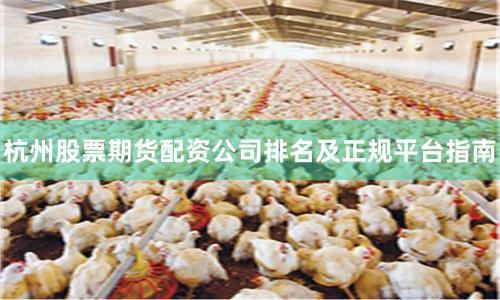杭州股票期货配资公司排名及正规平台指南