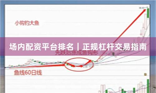 场内配资平台排名｜正规杠杆交易指南