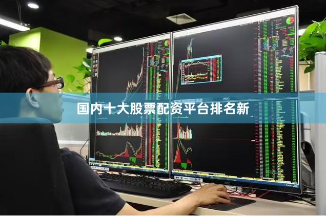 国内十大股票配资平台排名新